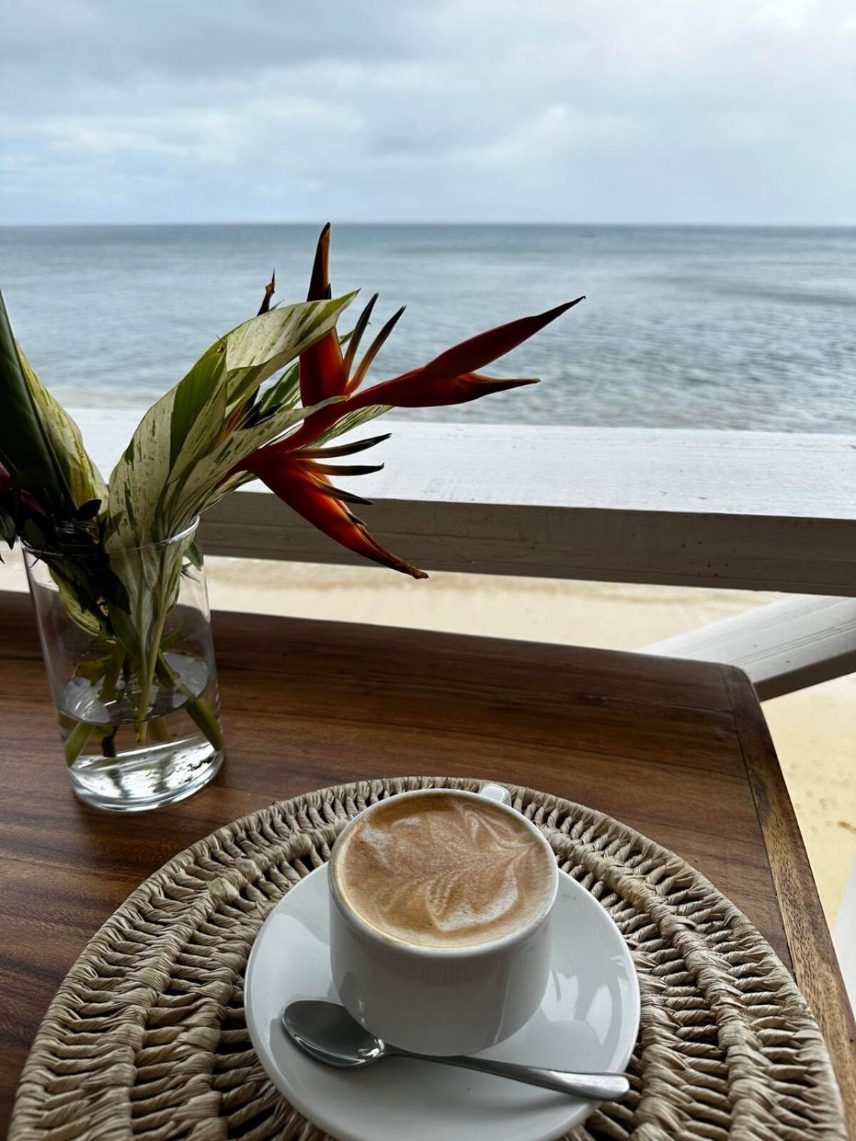 Raintree Gardens - 1 Acre, Ocean Views, Steps From Matei