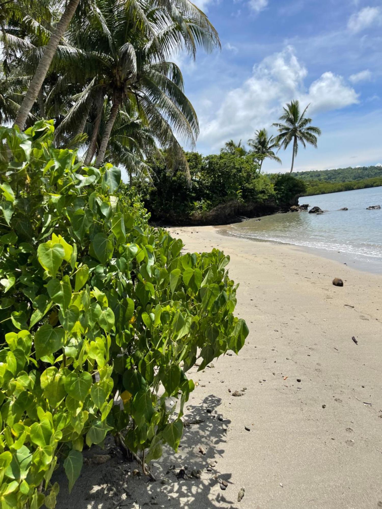 Namawa Private Estate Villa *