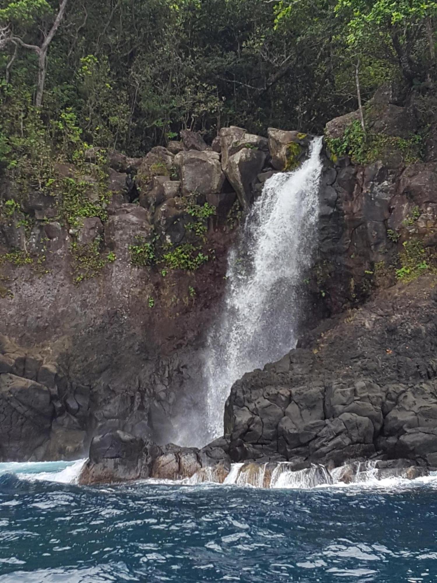 Resort Taveuni Palms Matei