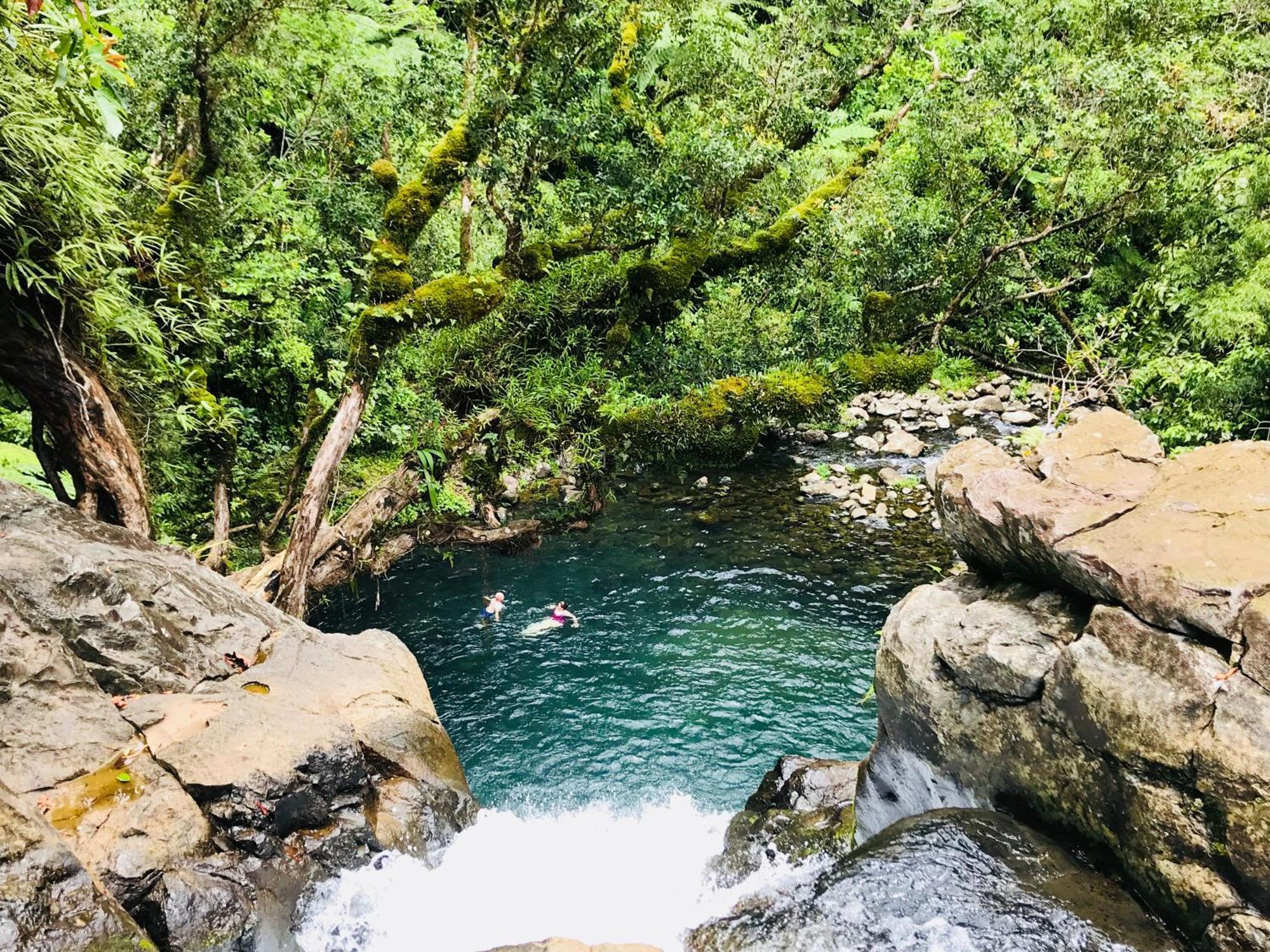 Resort Taveuni Palms 5*
