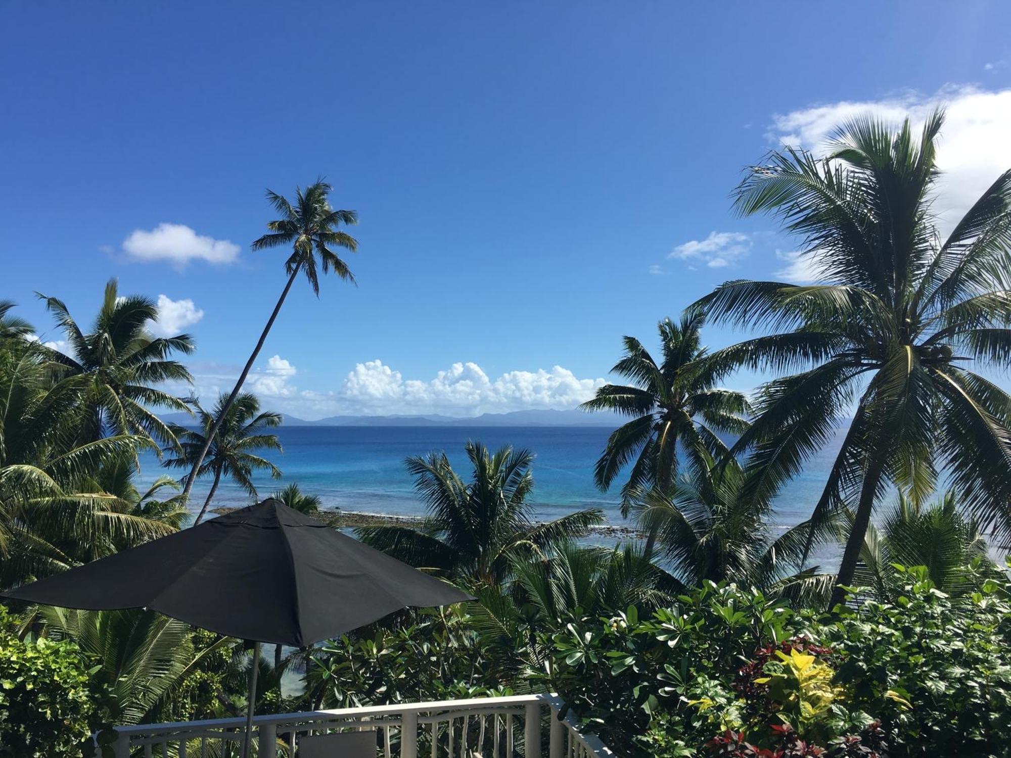 Taveuni Palms
