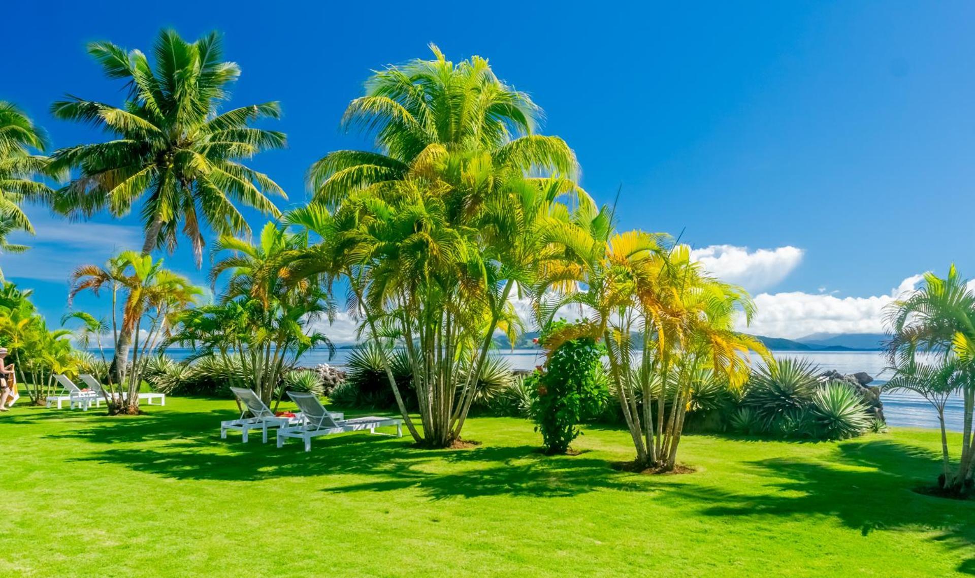 Aroha Taveuni Beachfront Bures Hotel