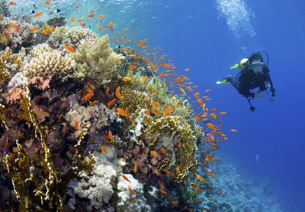 Resort Yasawa Island & 5*