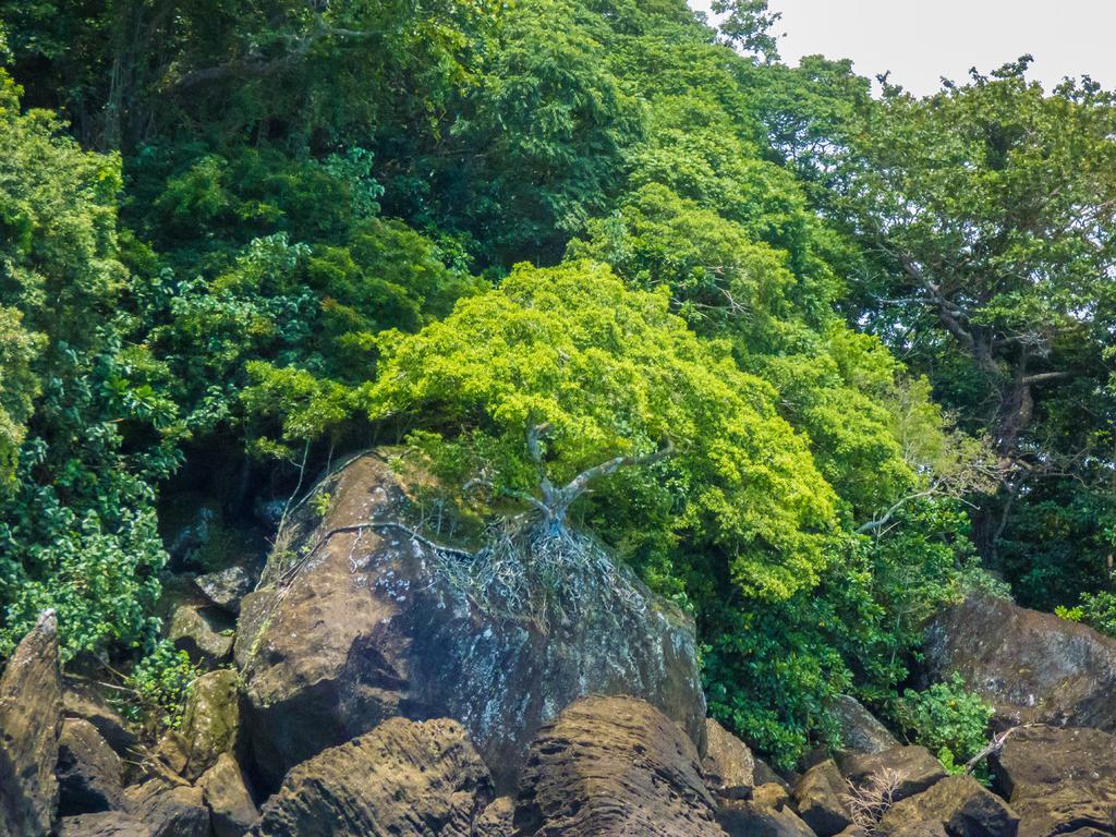 Matangi Private Island - Adults Only Resort 4*