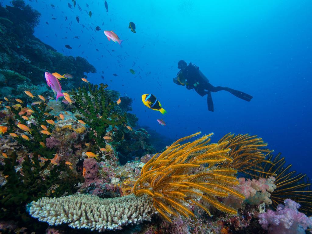 Matangi Private Island - Adults Only 4*