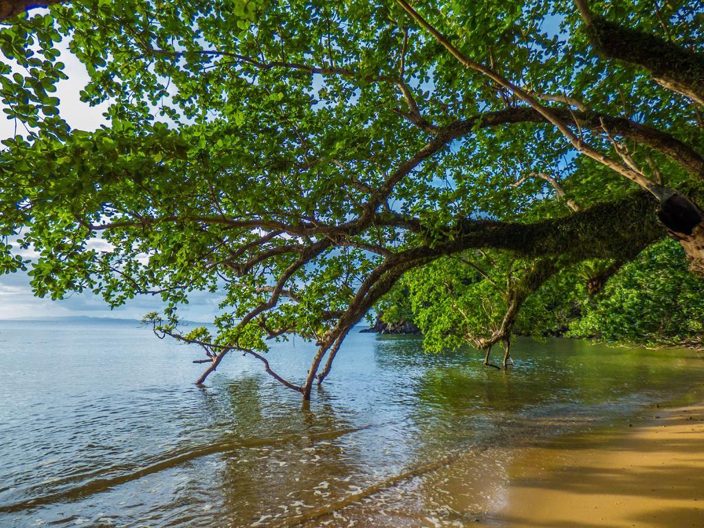 Matangi Private Island - Adults Only