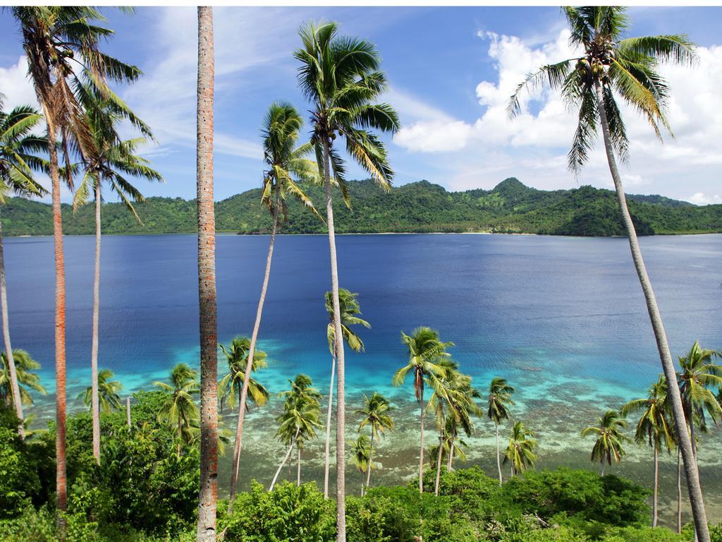 Resort Matangi Private Island - Adults Only Matangi Island