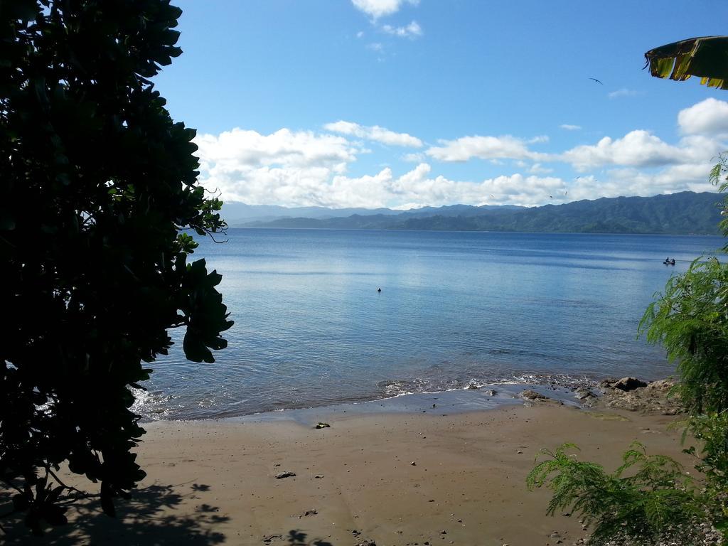 Gecko Fiji Savusavu