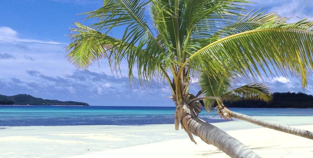 Resort Coconut Beach 3*