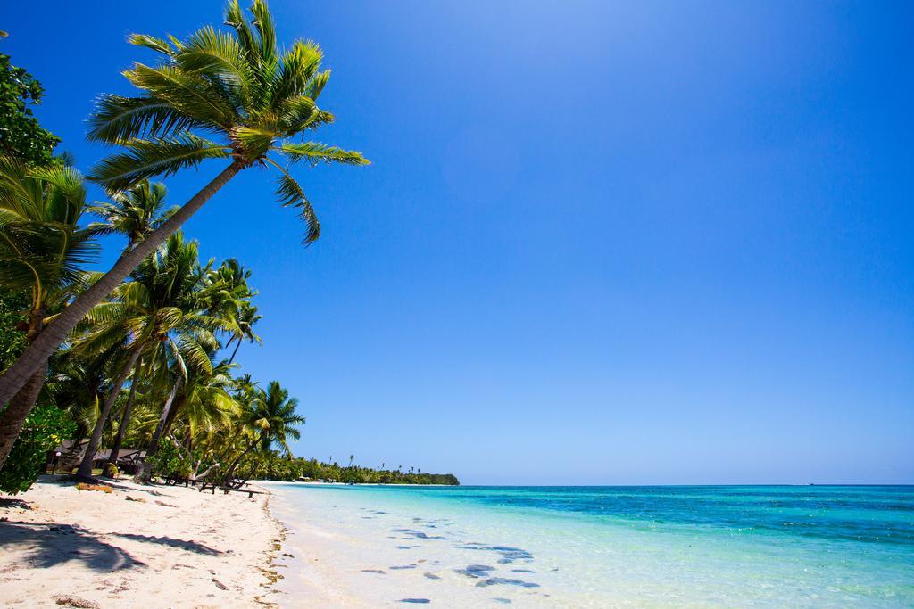 Plantation Island