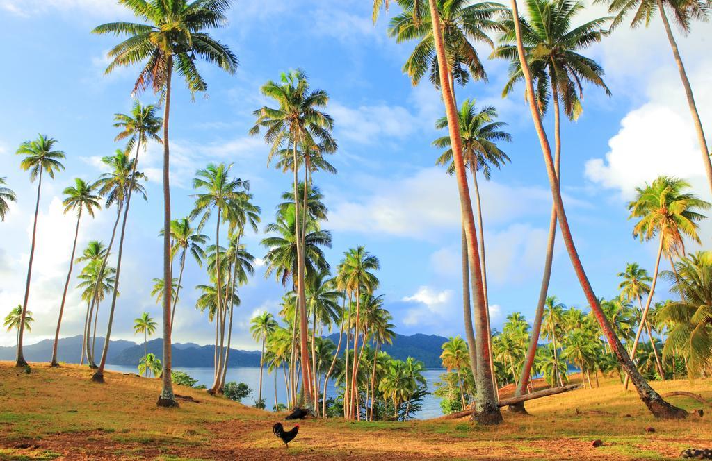 Resort Matangi Private Island - Adults Only 4*