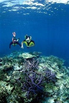 Resort Great Sea Reef 4*