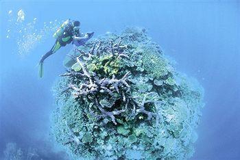 Resort Great Sea Reef