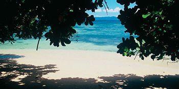 Taveuni Island & Matei