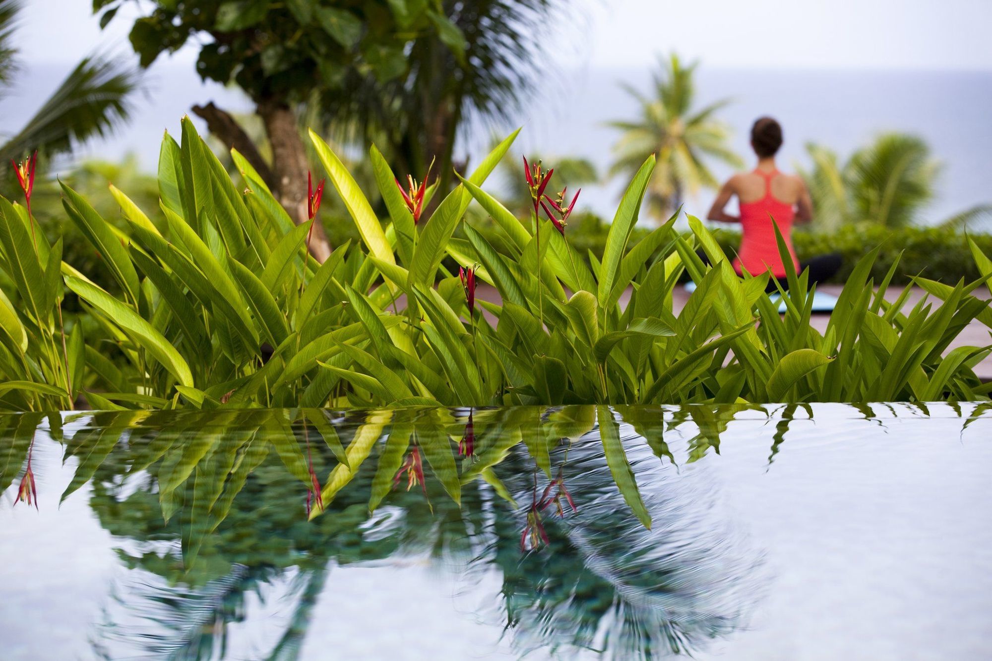 Hotel Laucala Island, Fiji 5*