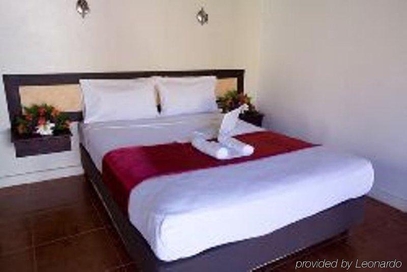 Gecko's 3* Sigatoka