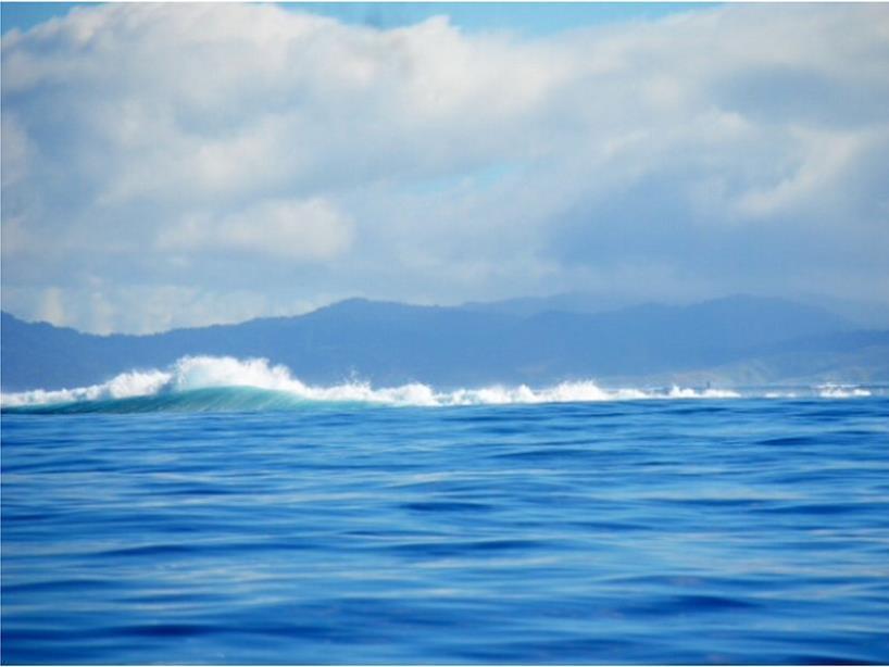 Taveuni Dive Resort
