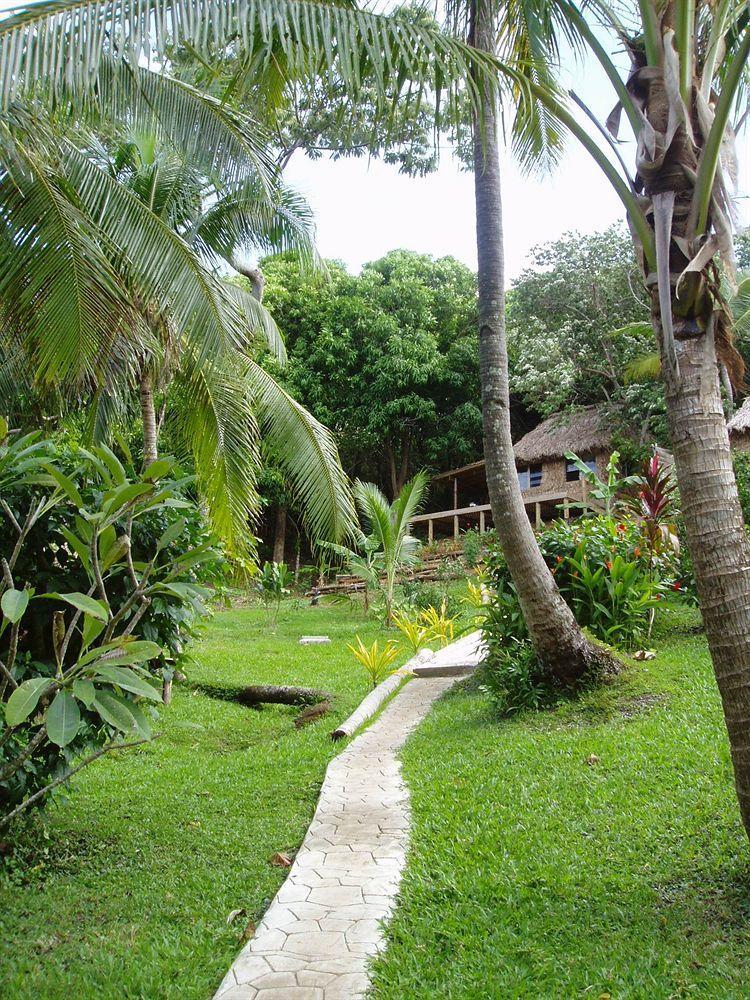 Matava 3*