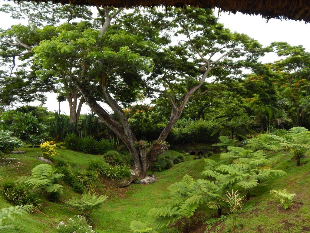 Resort Taveuni Dive 4*