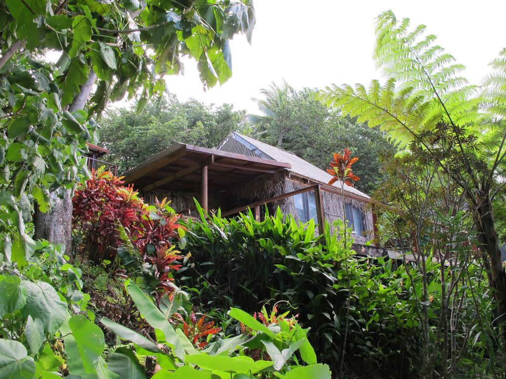 Matava Nacomoto
