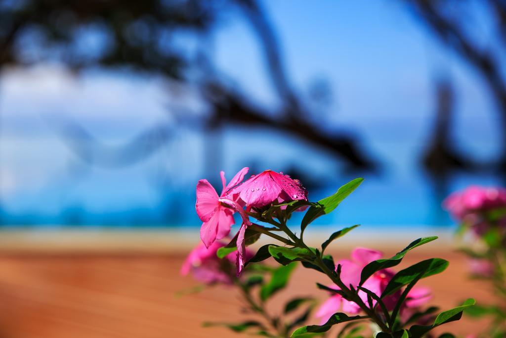 Maui Palms 5* Votua