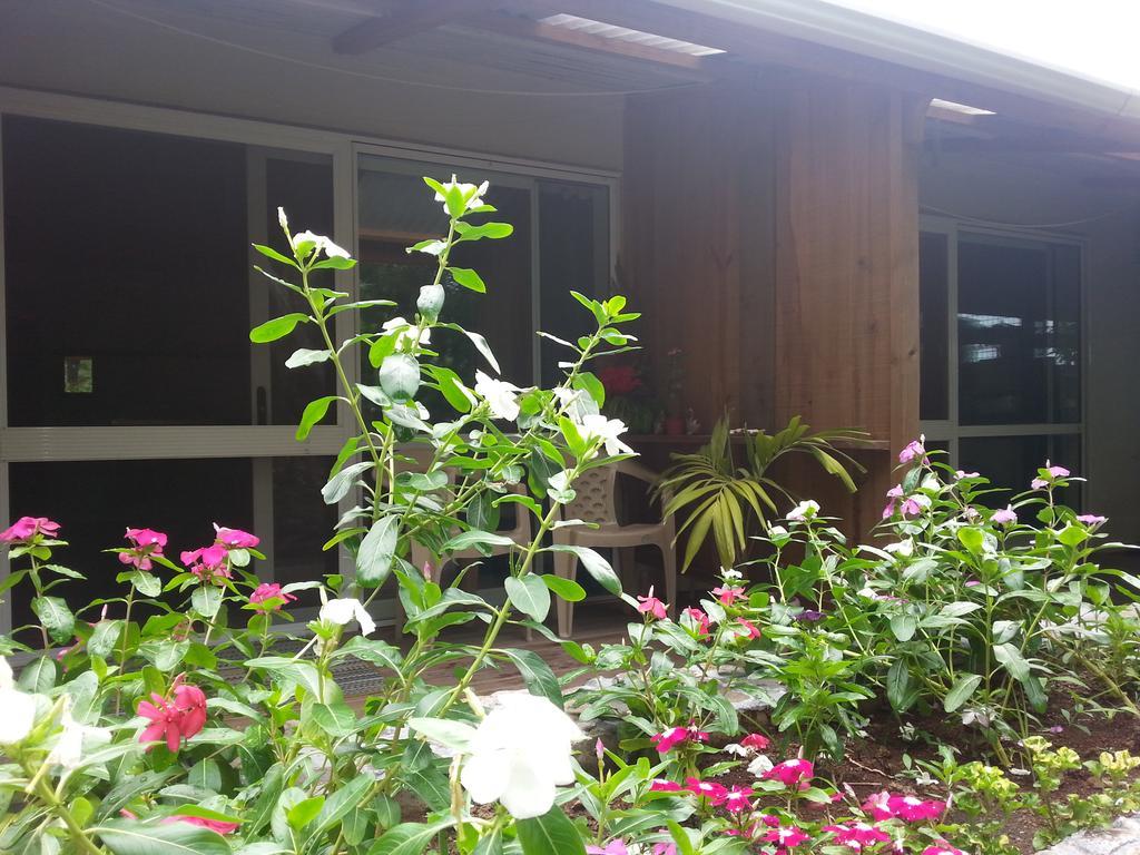Gecko Fiji Lodge Savusavu