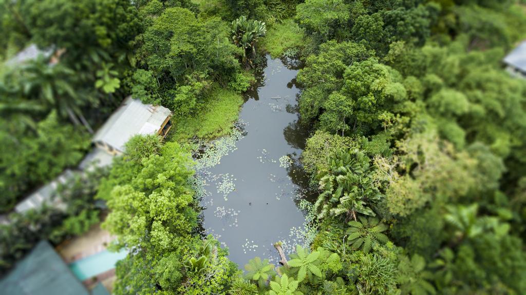 Rainforest Eco Lodge Resort Suva