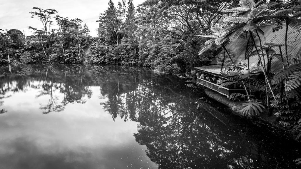 Rainforest Eco Lodge Resort