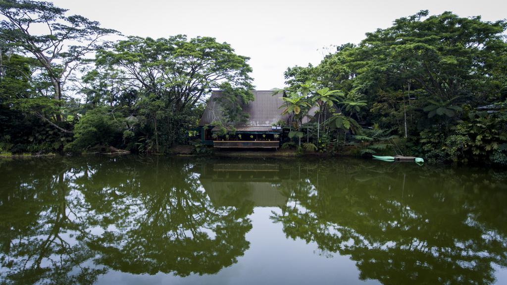 Rainforest Eco Lodge 3*