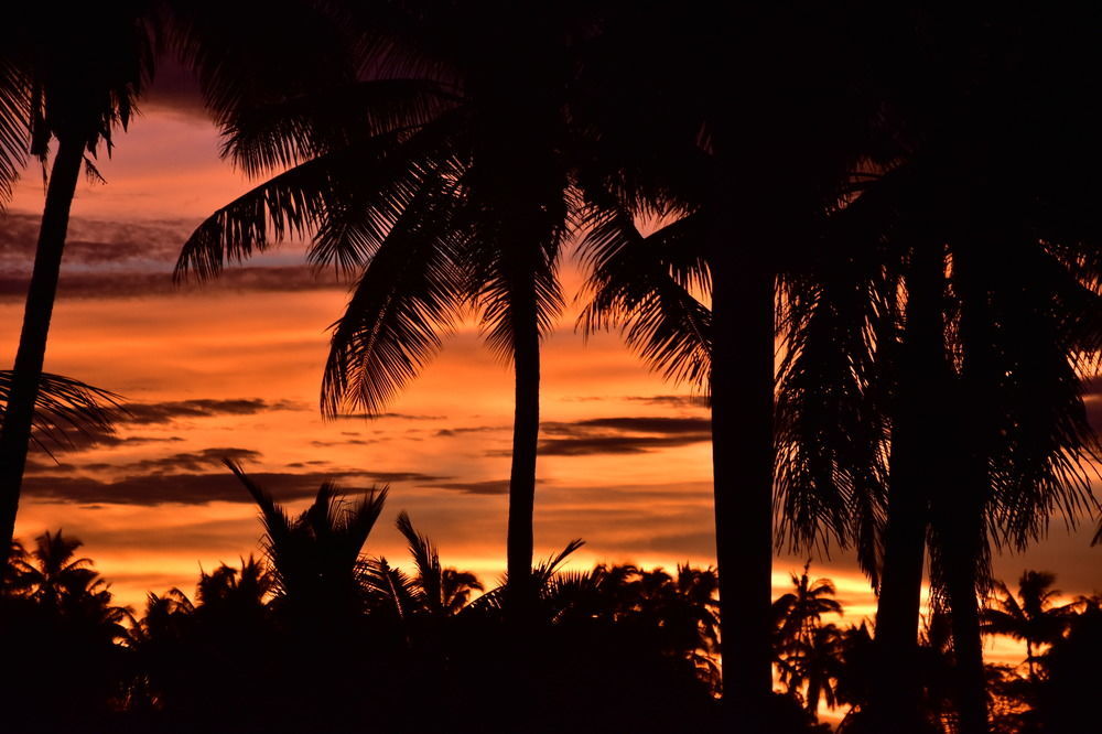 Resort Club Fiji 3*