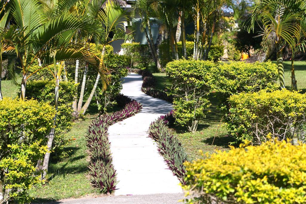 Mango Bay Namatakula