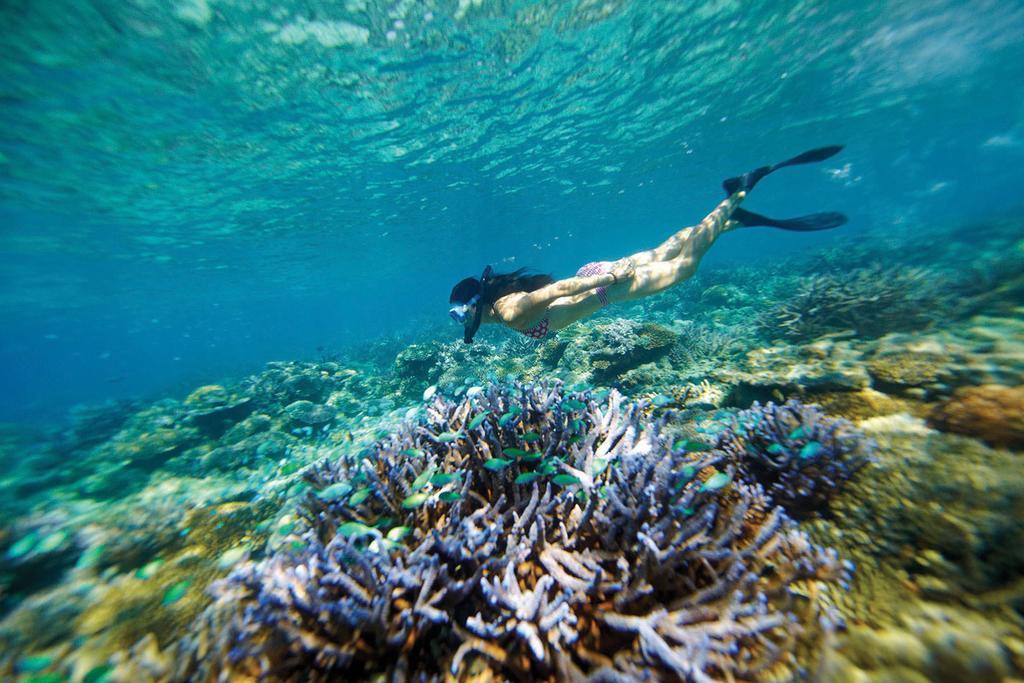 Mantaray Island Resort 3*