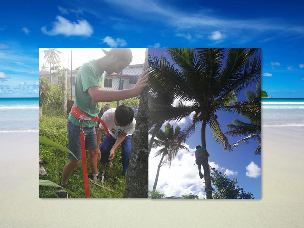 Bed & Breakfast Dreams Suva