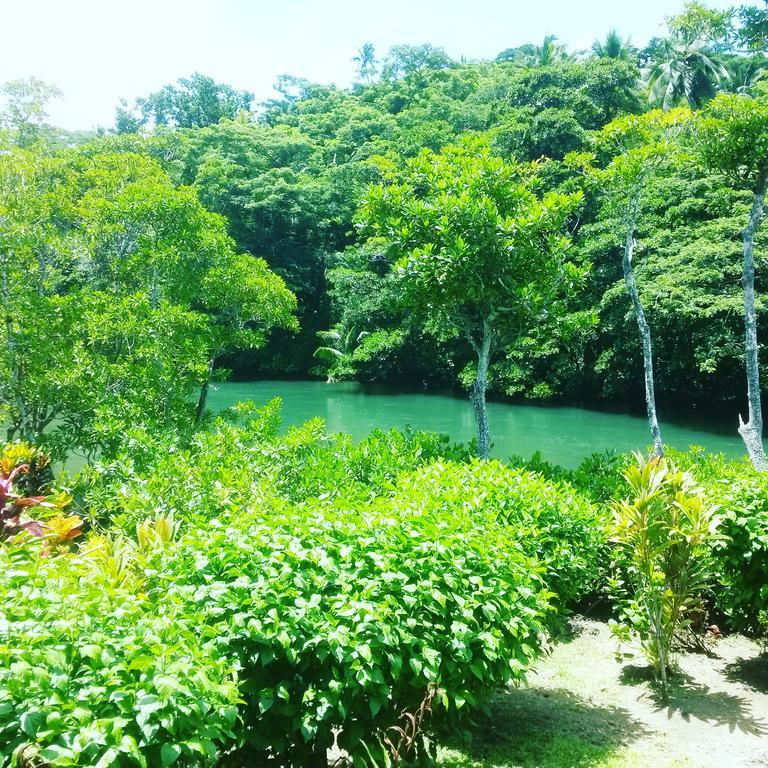 Salt * Savusavu