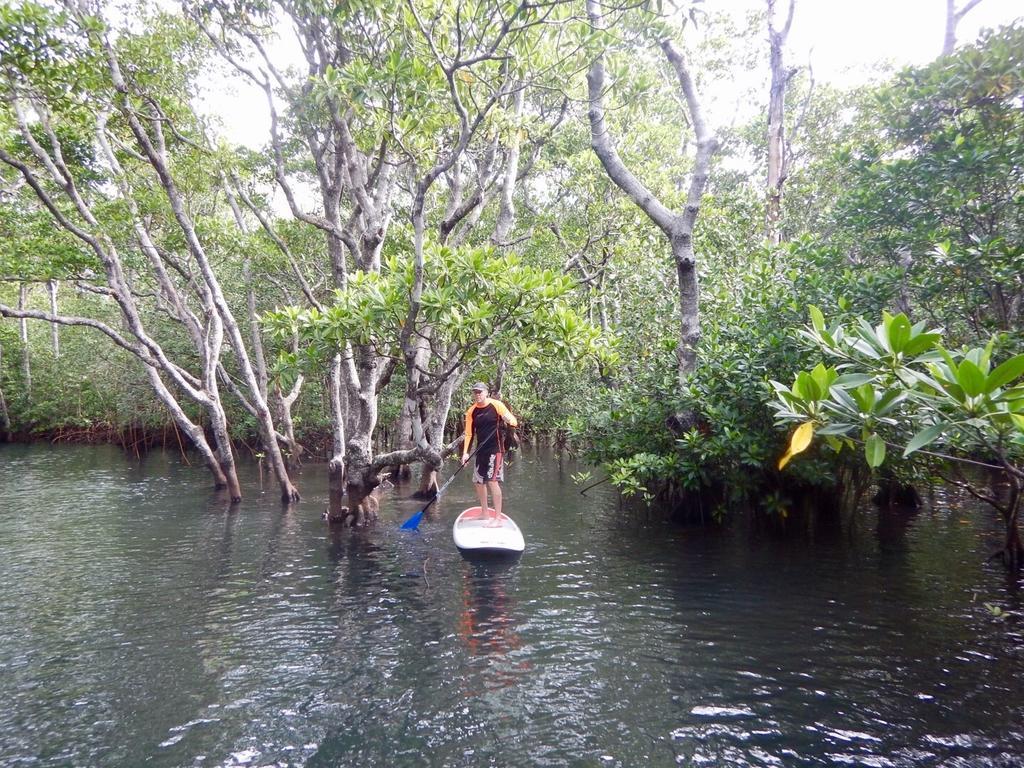 Lodge Sau Bay - Off Taveuni