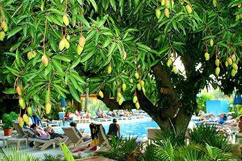 Resort Bay