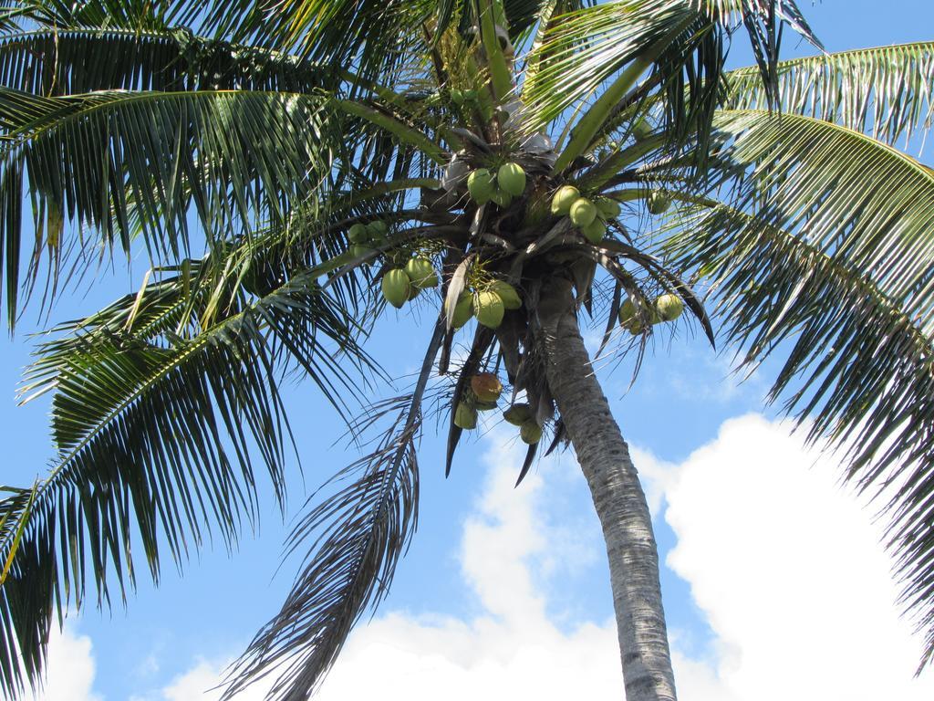 Resort De Vos - The Private Tangangge