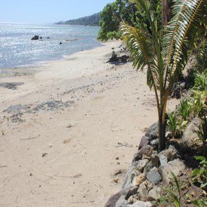 The View Fiji-