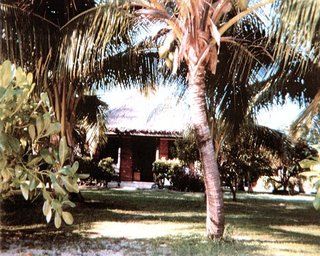 Lagoon Club 3* Malolo Lailai