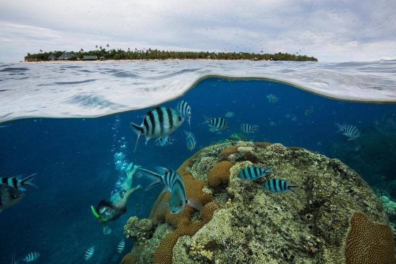 Serenity Island Kadavulailai (Bounty)