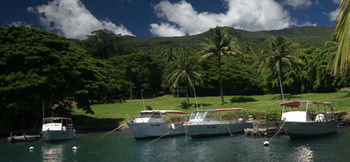 Resort Taveuni Dive