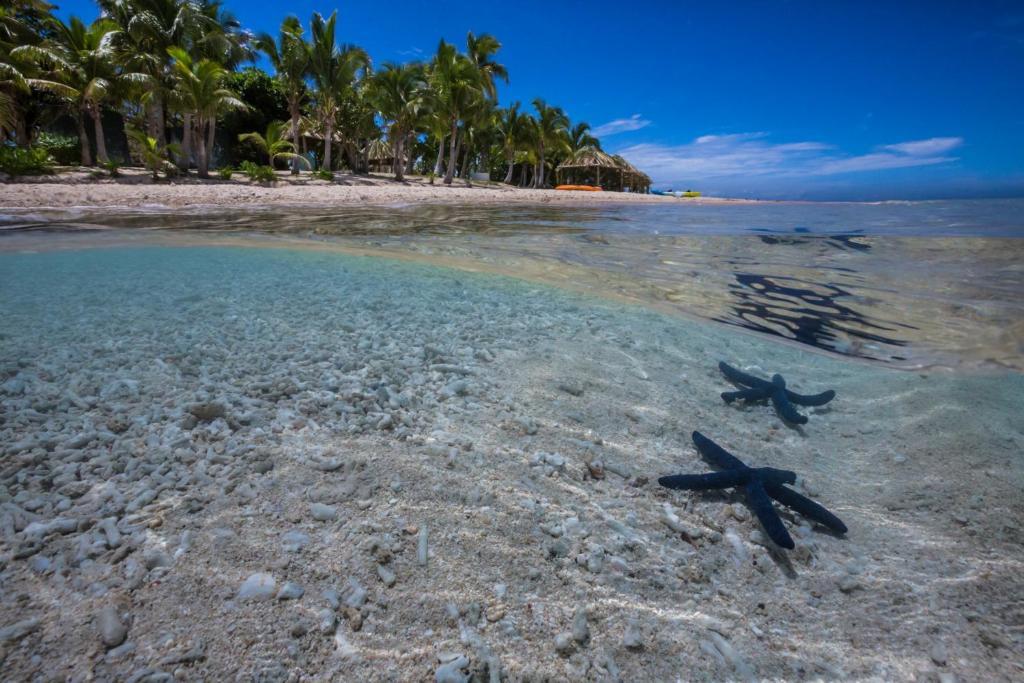 Fiji Resort