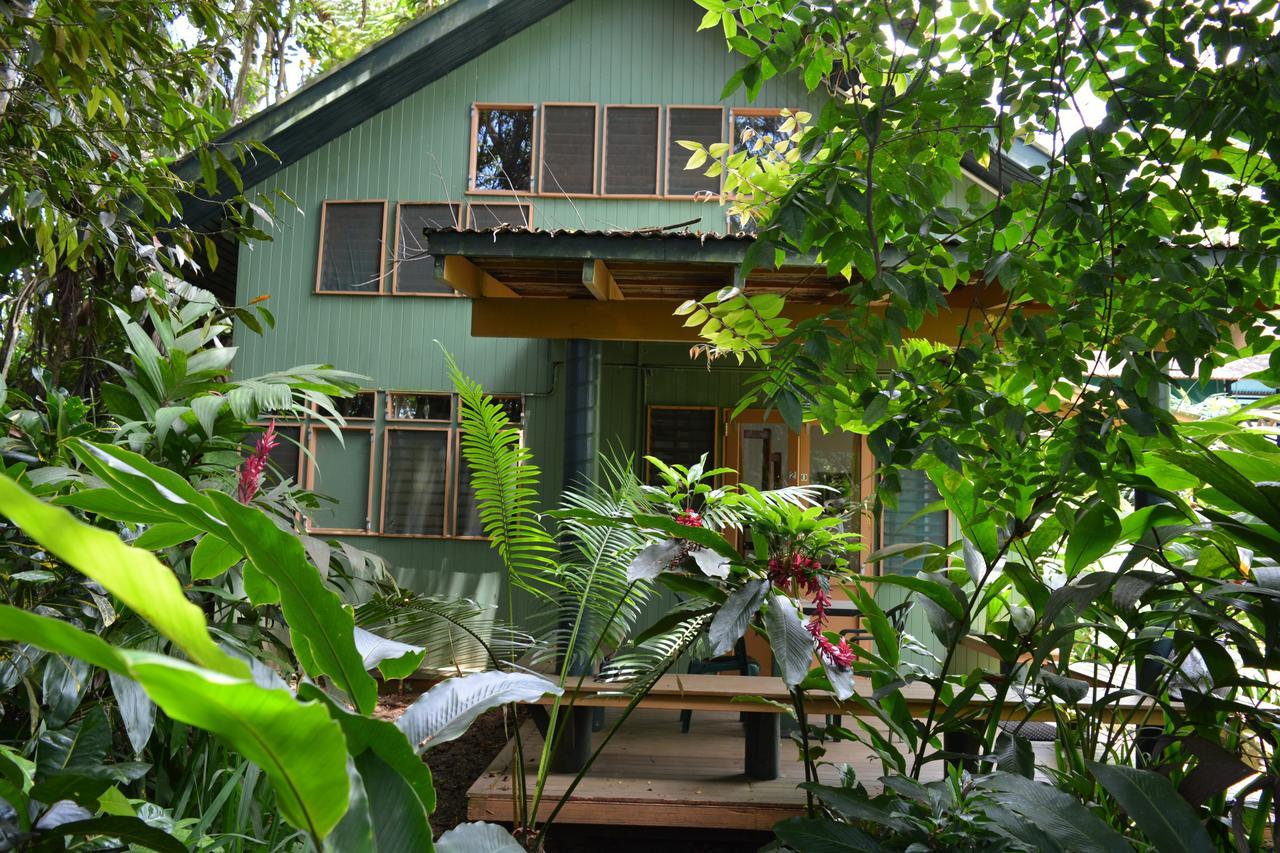 Resort Rainforest Eco Lodge 3*