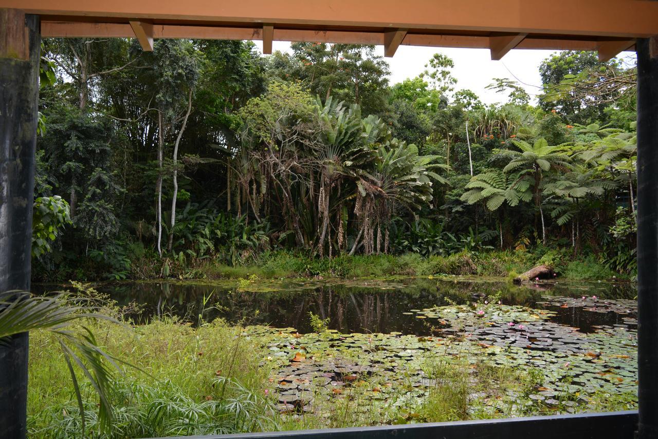 Rainforest Eco Lodge 3* Suva