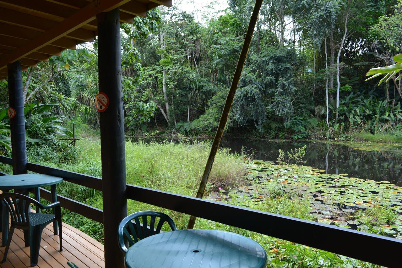 Rainforest Eco Lodge Resort 3*