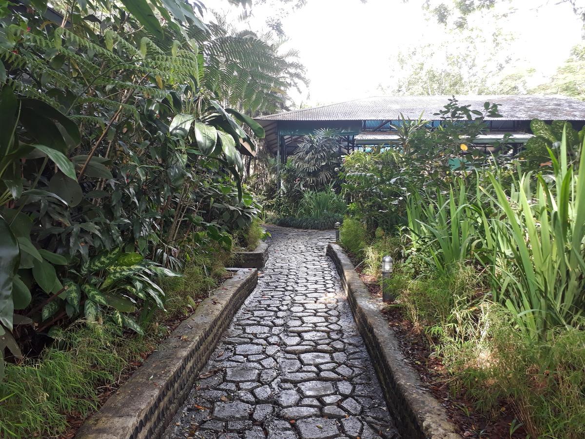Rainforest Eco Lodge Resort 3*