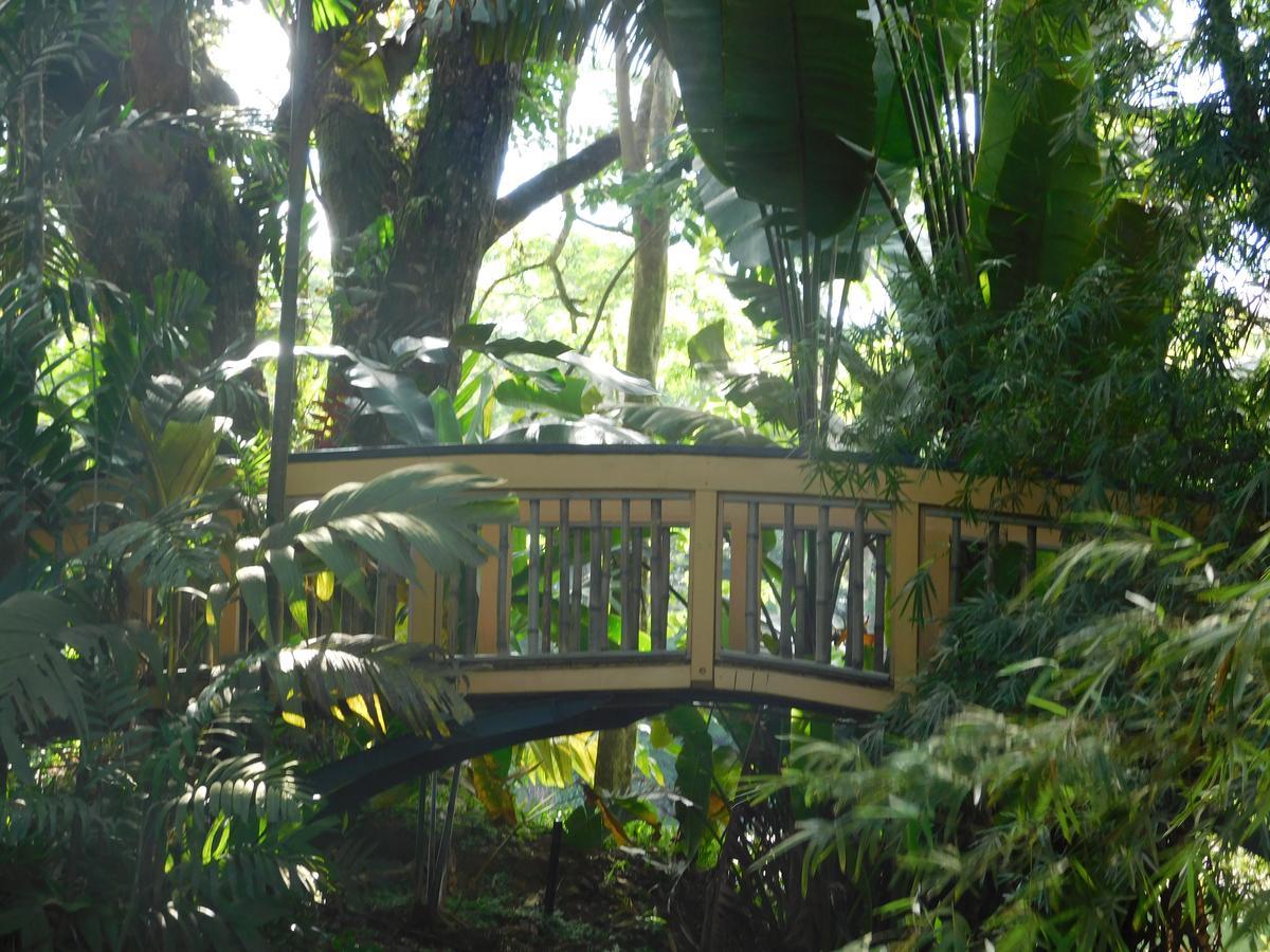 Rainforest Eco Lodge 3* Suva