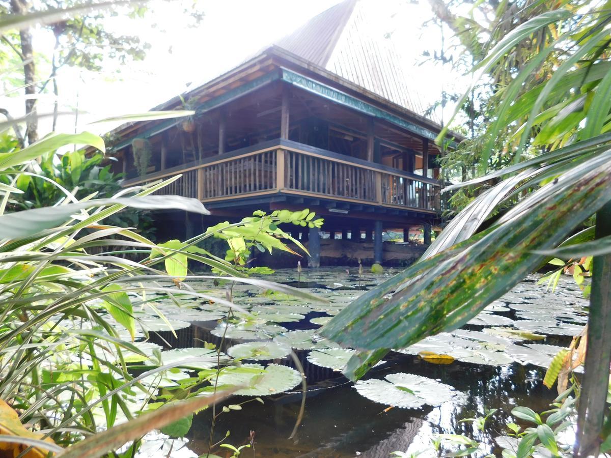 Rainforest Eco Lodge Suva