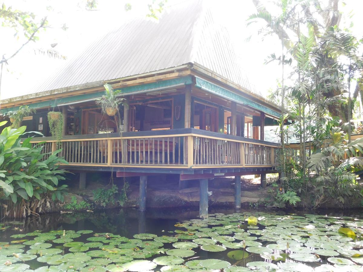 Resort Rainforest Eco Lodge