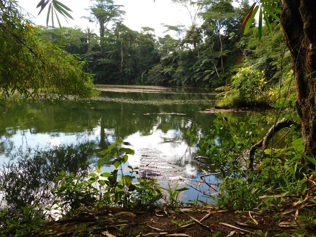 Resort Rainforest Eco Lodge